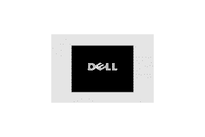 DELL - software language services